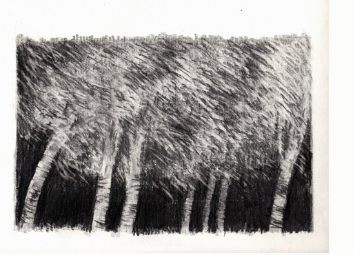 Opera National de Paris - dessins